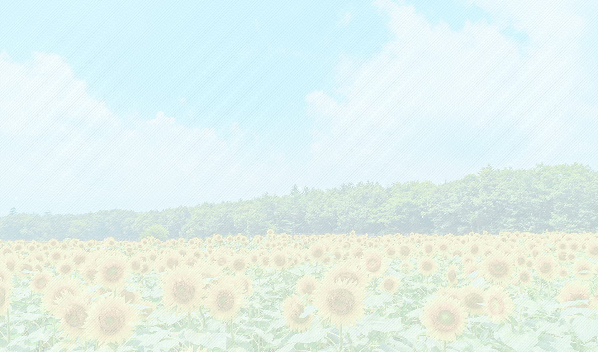 季節のイメージ（夏）