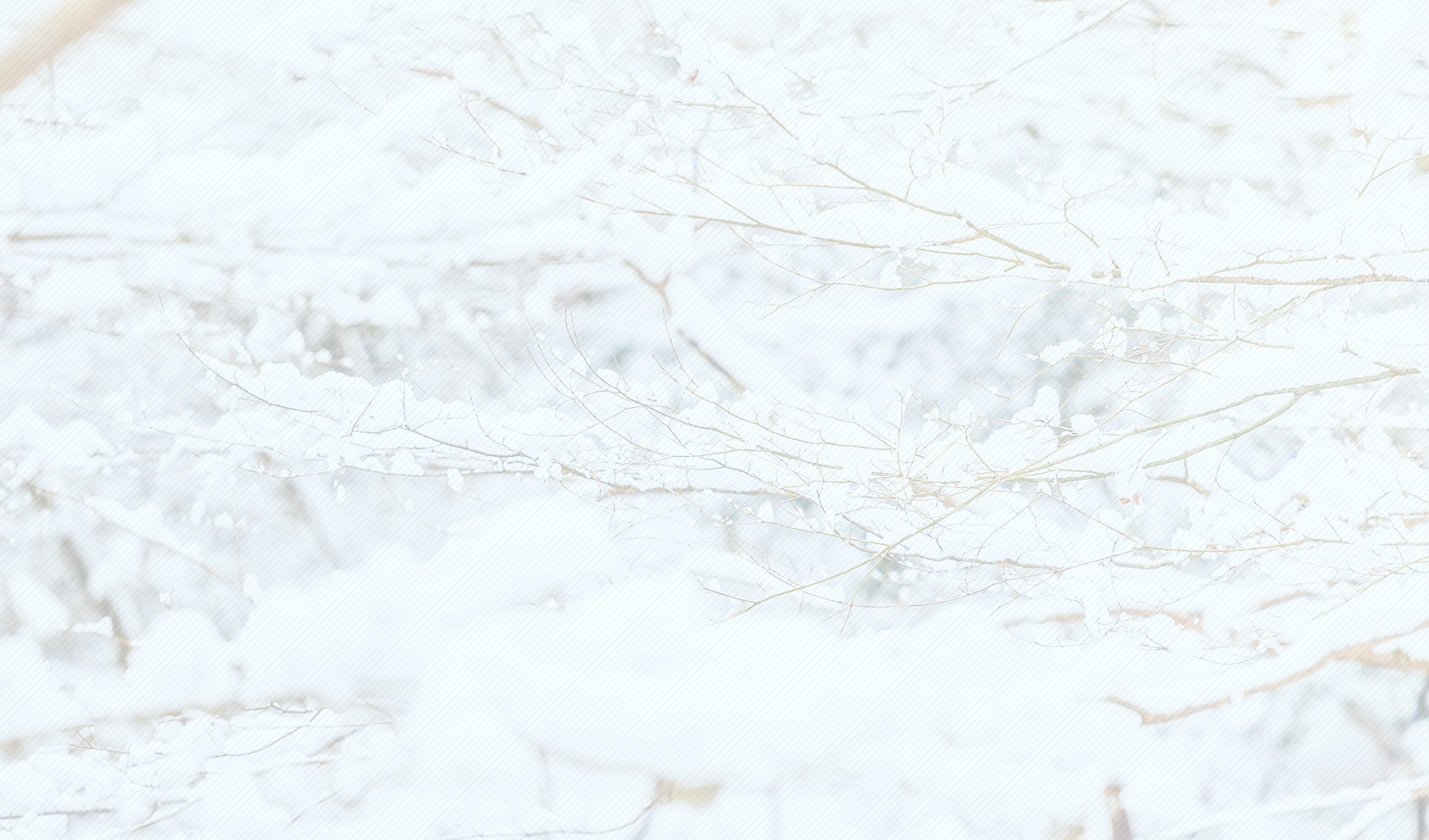 季節のイメージ（冬）